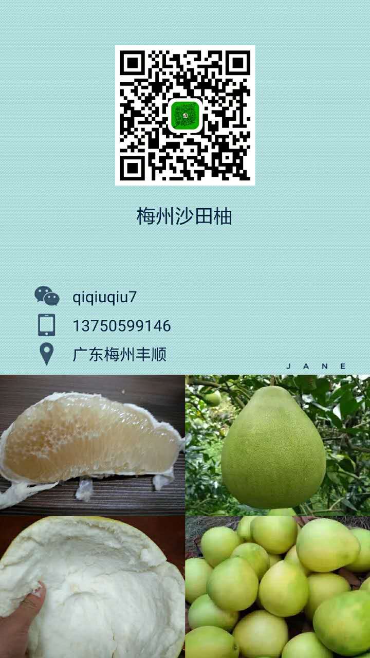 107723900128293789.jpg