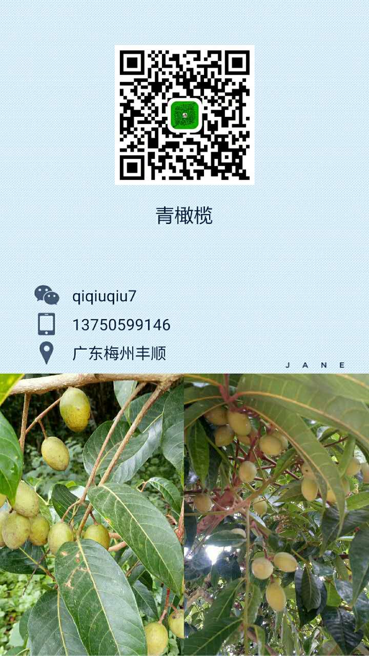 536209245634485169.jpg