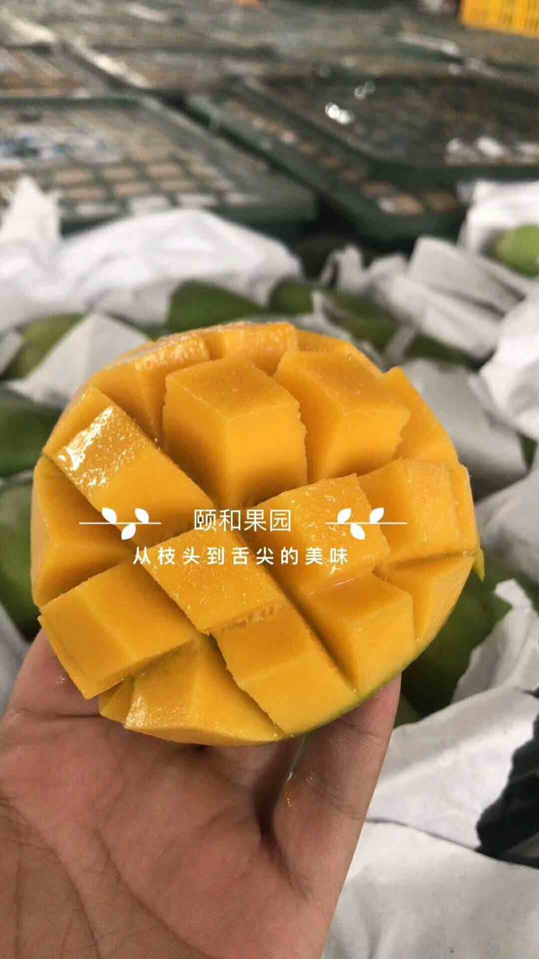 462828585494859874.jpg
