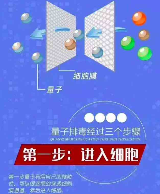Ҹ粨100_粨̳ô