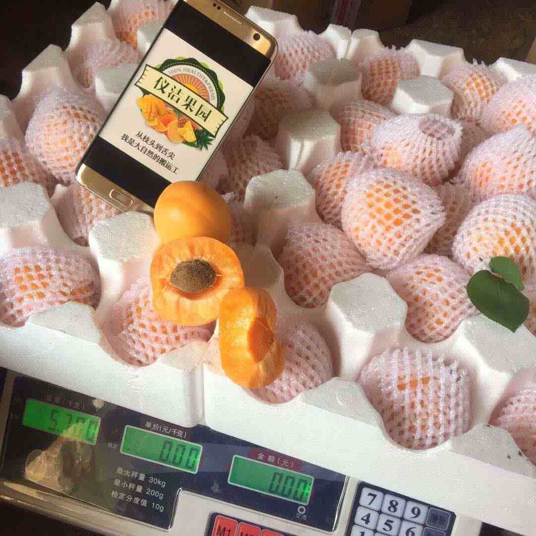 130498260863529857.jpg