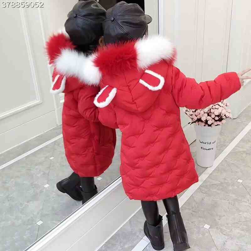 QQͼƬ20181221131702.jpg
