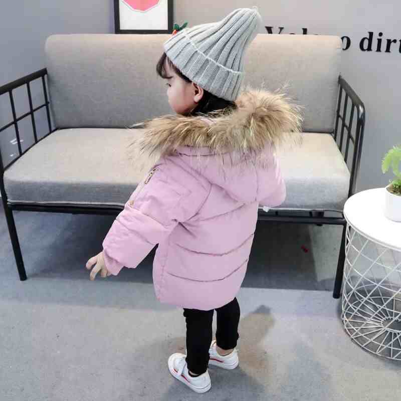 QQͼƬ20181229145447.jpg