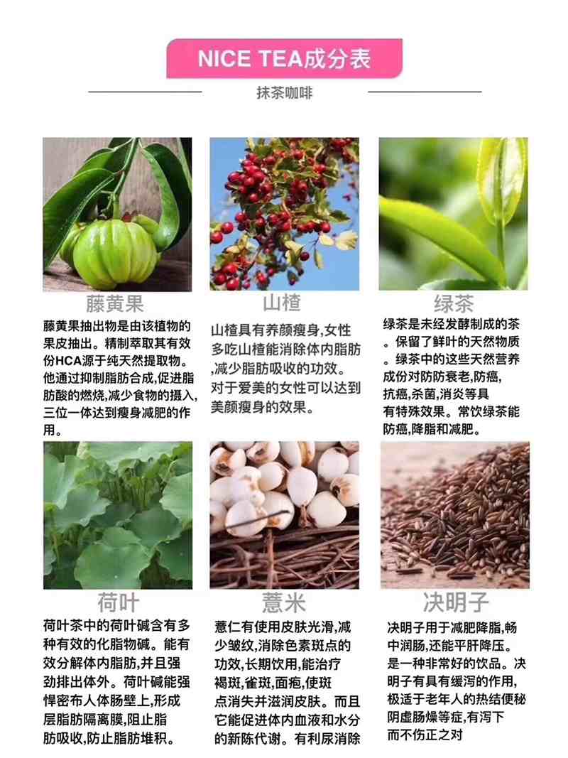 奈斯减肥咖啡【重点批发】厂家现货招商代理
